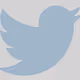 black_bird_fly