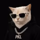 PKL_LOI