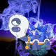 Fungiblechon