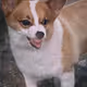 JohnYoooo
