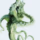 GreenOctopus