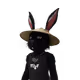 cdyor