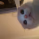 Namuris
