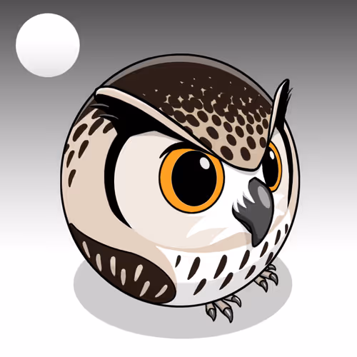 OpenSea profile picture for @Tacit