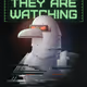 Anonymously_