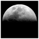 spacebored.eth