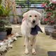 HappyTycoon