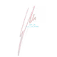 EMNFTs