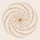 0xe99091828a4dc348bc08b0adfc21cd00dd6f67df