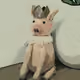 _King_Pig_