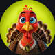 RobinTikoNFT