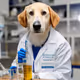 labdog_eth