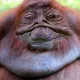 LamerZero