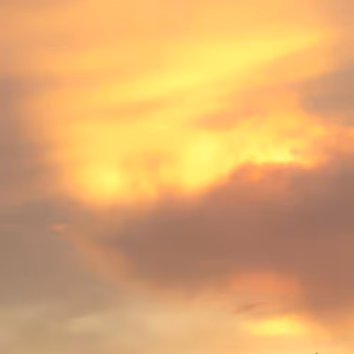 OpenSea banner for @massager