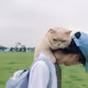 joyful-cloud