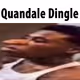 QuantaviousDingletonJunior
