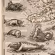 The_cartographer