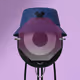 niche-