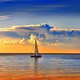alex_8