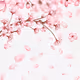 animationeffect