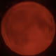 redmoonracer