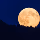 NewmoonNFT