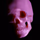 skullmoods