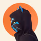 SmugDangerCat