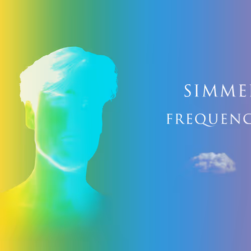 OpenSea banner for @Simmer