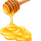 PurehoneyZ