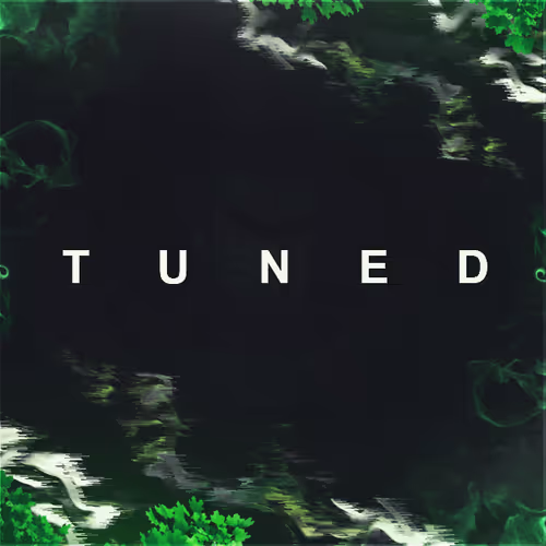 OpenSea profile picture for @tuned