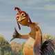 ChickenJoe-Long-for-Joseph