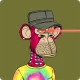 palyboy56