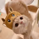 sdfewrs