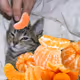 mandarinkaa