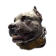 GHOST-K9