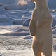 StandingWhiteBear