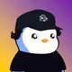 CryptoRaiz