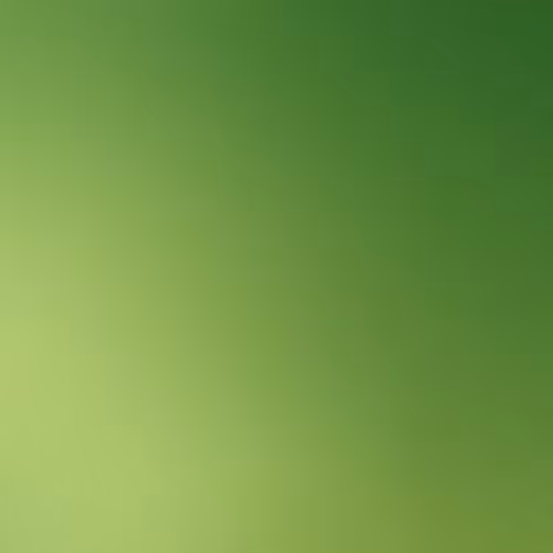 OpenSea banner for @SUPERMARKET