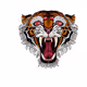 spacetigerdd