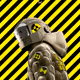 0xecbeb9b6aa18dd3b57ecd061490ae5029c05ec91