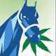 High_Horse_Ranch