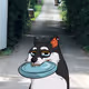 petterlindqv