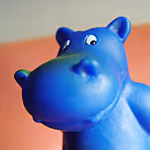 OpenSea profile picture for @hippopotamus