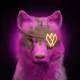WilderAF