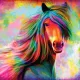 Rainbow_Horses_Stable
