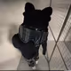 vid