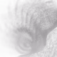 fx0001