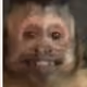 HappyMokey