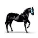 0xed7e4c3adc2b1d58881cea42a1e8ec1e860c1beb